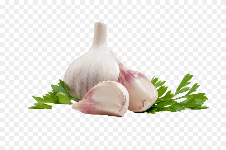 Garlic, Food, Produce, Herbs, Plant Free Png Download