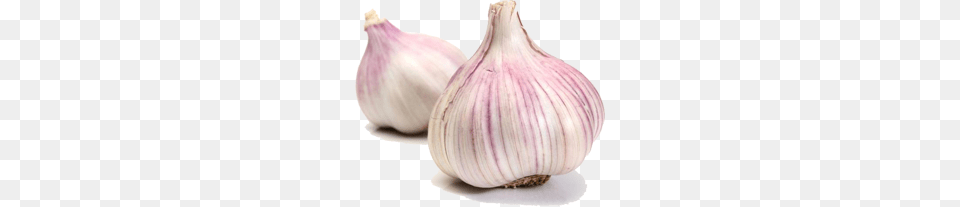 Garlic, Food, Produce, Plant, Vegetable Free Png