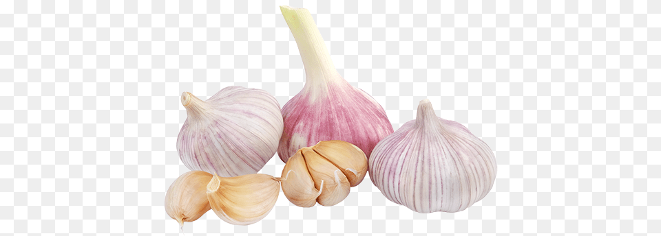 Garlic, Food, Produce, Plant, Vegetable Free Png Download