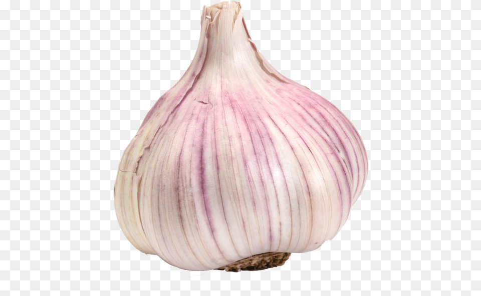 Garlic, Food, Produce, Plant, Vegetable Png Image