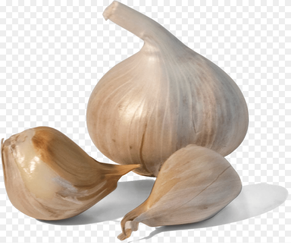 Garlic, Food, Produce, Plant, Vegetable Png Image