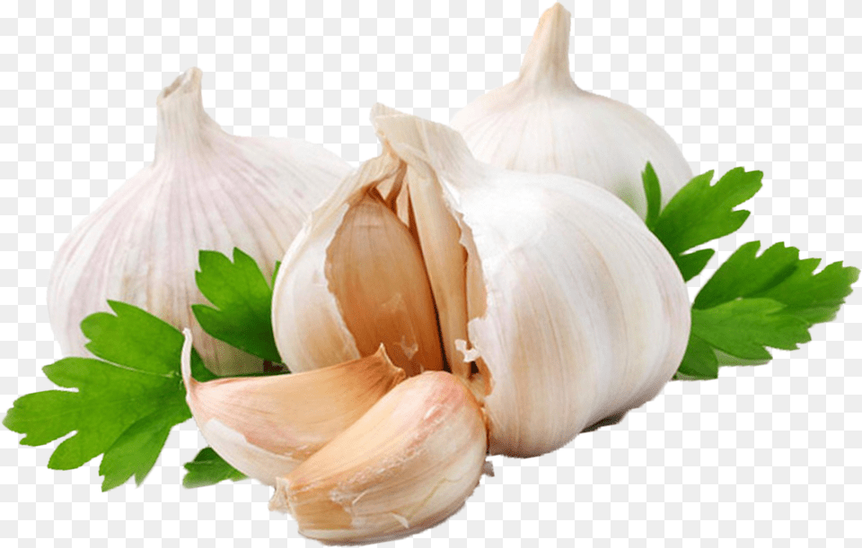 Garlic, Food, Produce, Plant, Vegetable Png Image