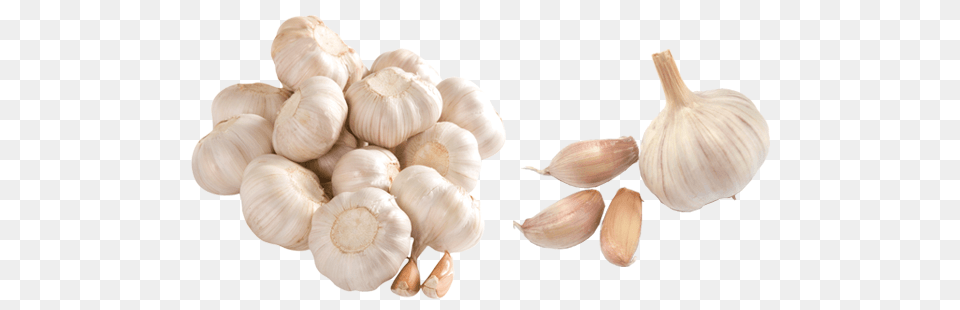 Garlic, Food, Produce, Fungus, Plant Free Png Download