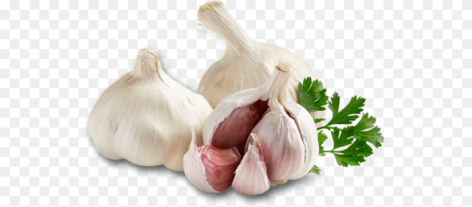 Garlic, Food, Produce, Plant, Vegetable Free Png Download