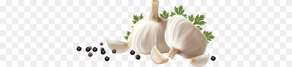 Garlic, Food, Produce, Plant, Vegetable Free Transparent Png