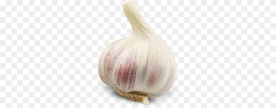 Garlic, Food, Produce, Plant, Vegetable Free Transparent Png