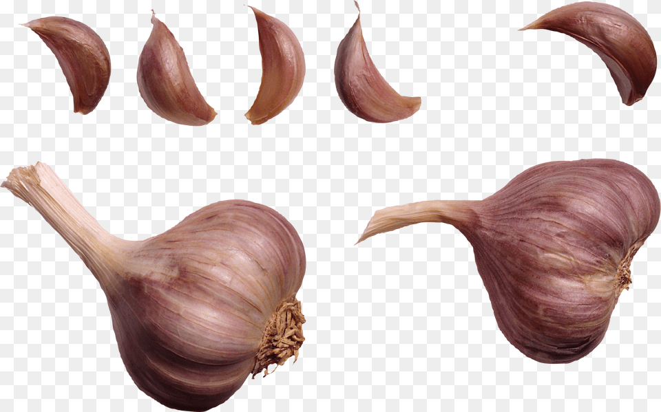 Garlic, Food, Produce, Vegetable, Plant Free Png