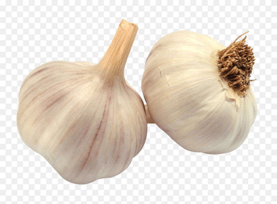 Garlic, Food, Produce, Plant, Vegetable Png Image