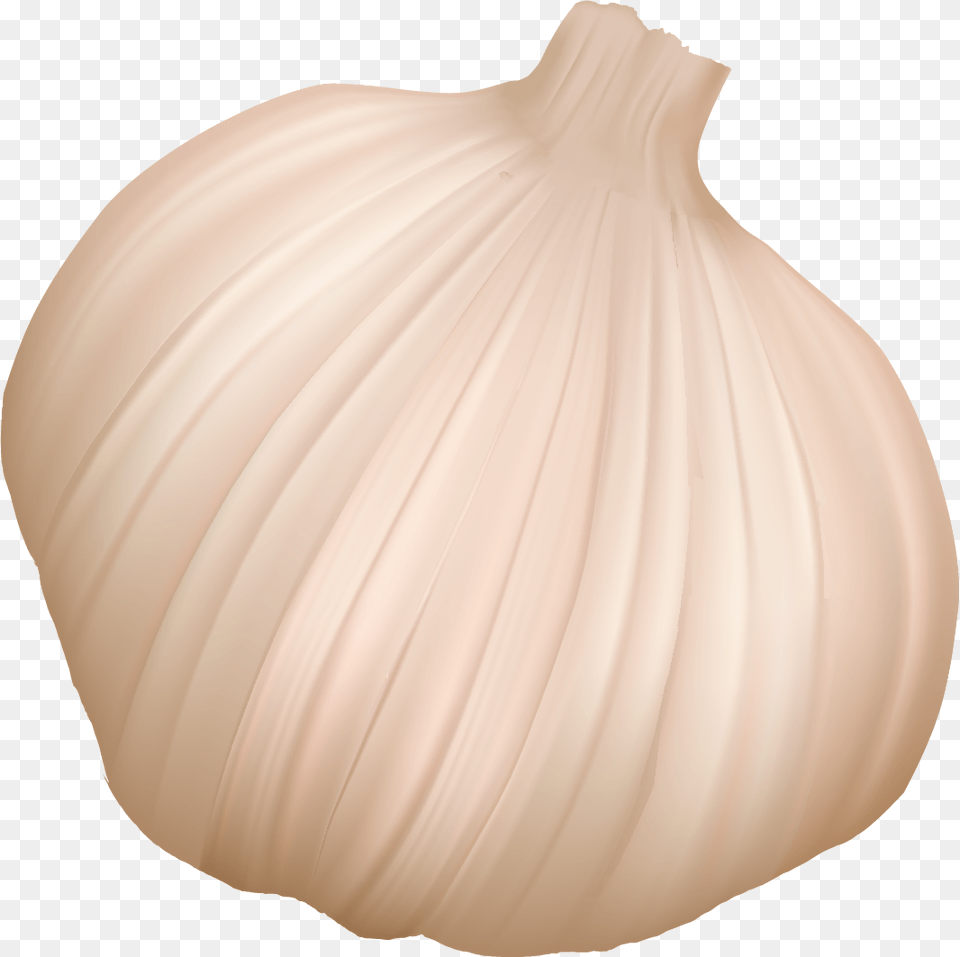 Garlic, Food, Produce, Vegetable, Plant Free Png