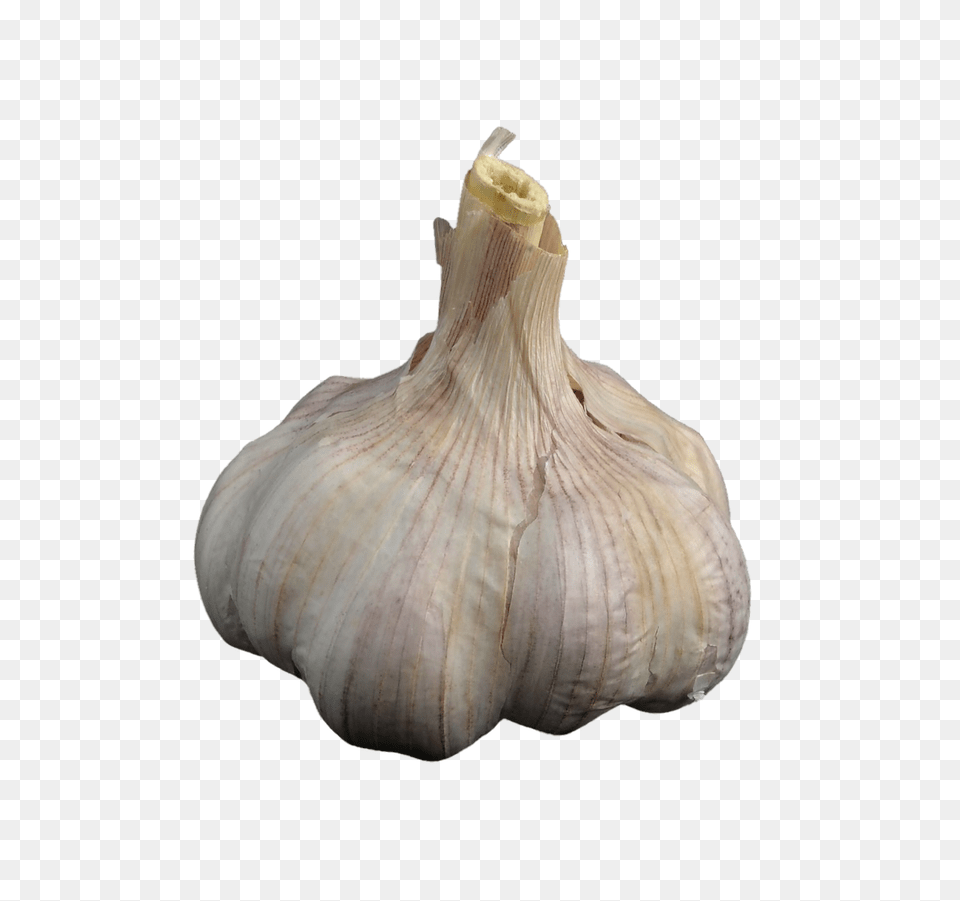 Garlic Food, Produce, Plant, Vegetable Free Transparent Png