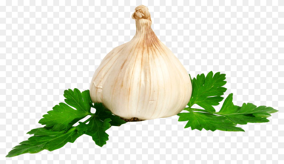 Garlic, Herbs, Plant, Food, Produce Free Png Download