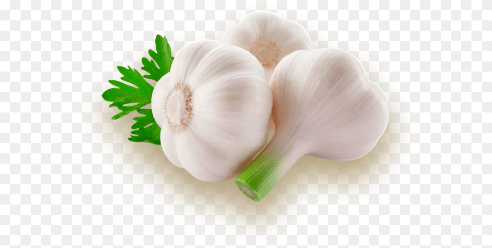 Garlic, Food, Produce, Plate, Plant Free Png Download