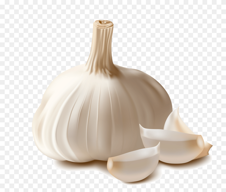 Garlic, Food, Produce, Plant, Vegetable Png Image