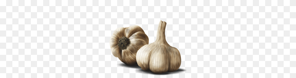 Garlic, Food, Produce, Plant, Vegetable Free Transparent Png