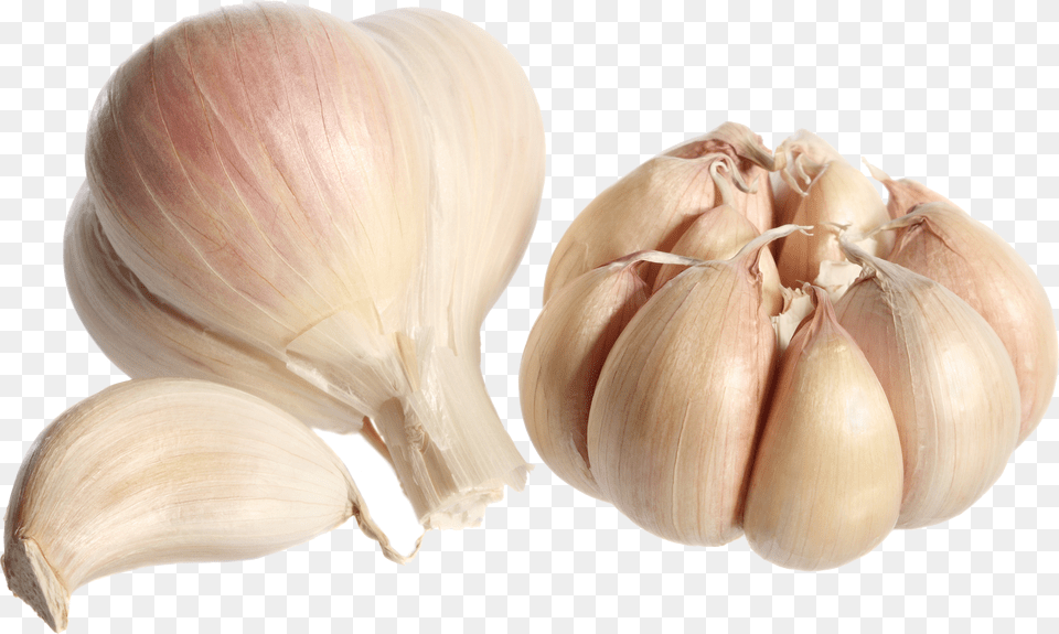 Garlic Free Transparent Png