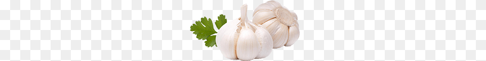 Garlic, Food, Produce, Vegetable, Plant Free Transparent Png
