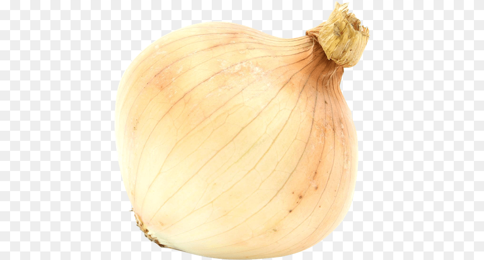 Garlic, Food, Produce, Onion, Plant Free Png