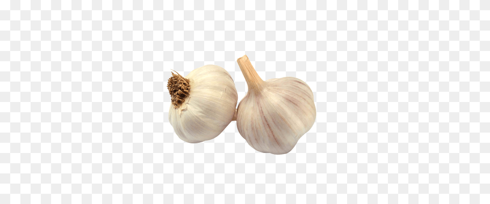 Garlic, Food, Produce, Plant, Vegetable Png Image