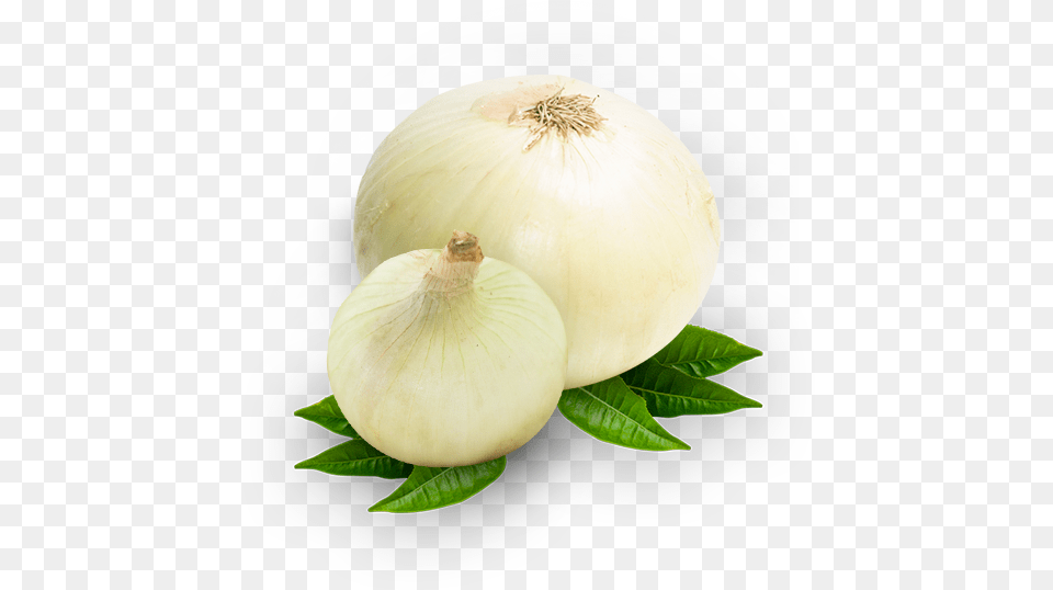 Garlic, Food, Produce, Onion, Plant Free Transparent Png