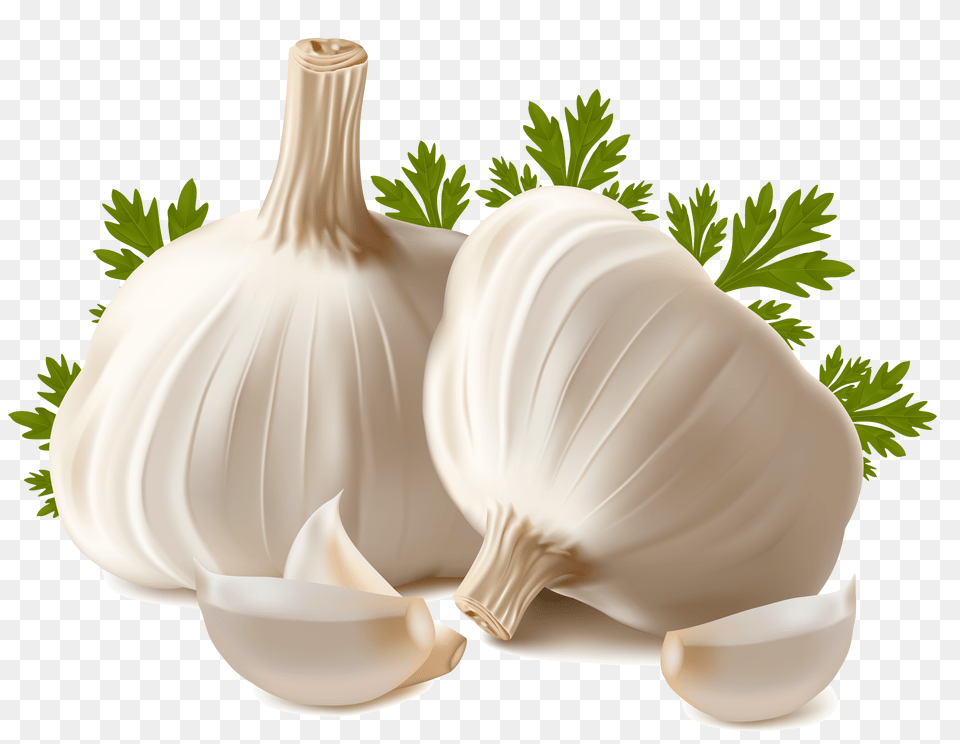 Garlic, Food, Produce, Plant, Vegetable Png