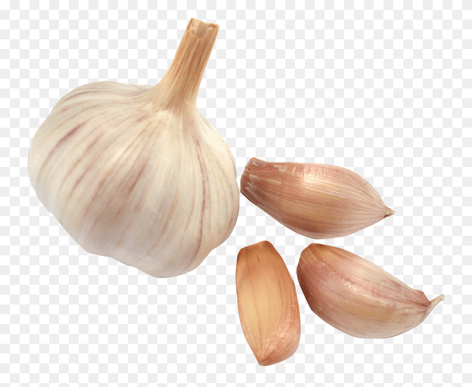 Garlic, Food, Produce, Plant, Vegetable Free Transparent Png