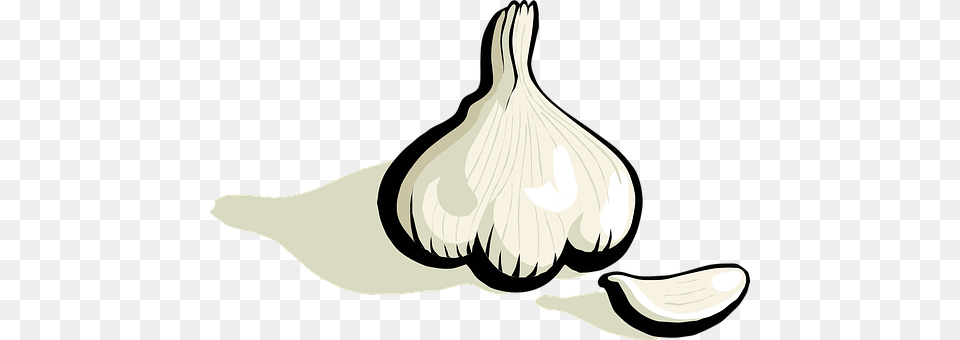 Garlic Food, Produce, Plant, Vegetable Png Image