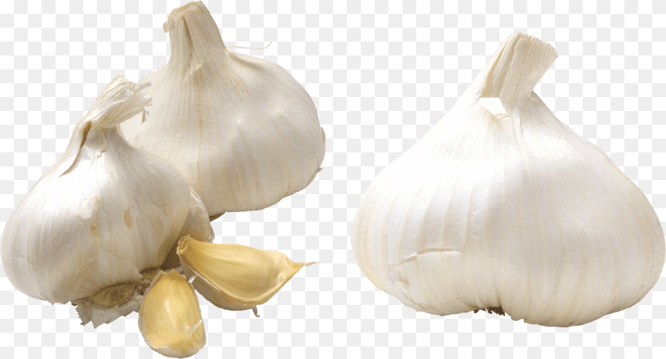 Garlic, Food, Produce, Plant, Vegetable Free Png Download