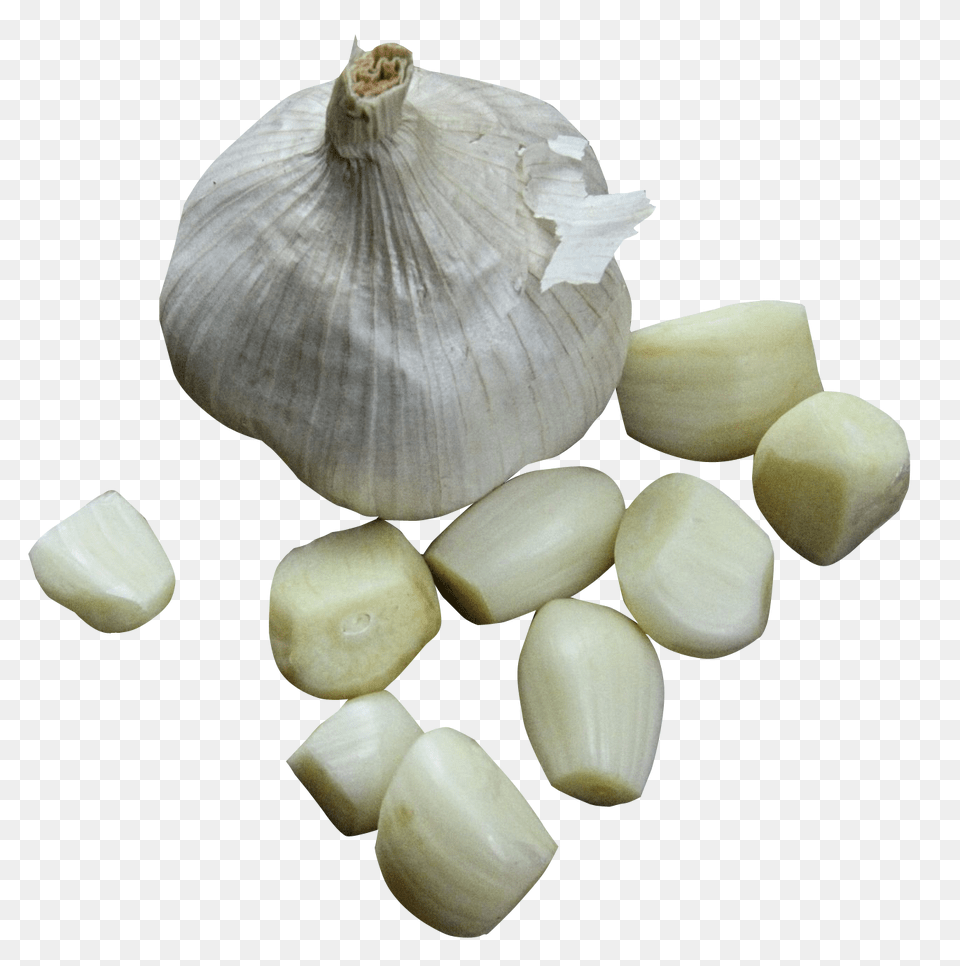 Garlic, Food, Produce, Plant, Vegetable Free Png