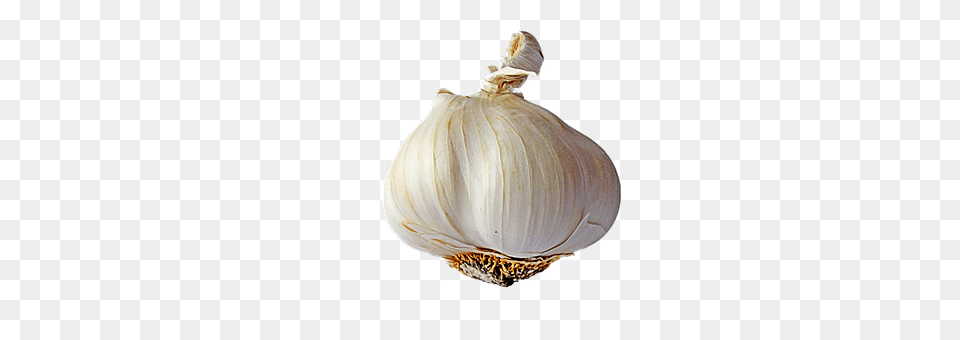 Garlic Food, Produce, Plant, Vegetable Png