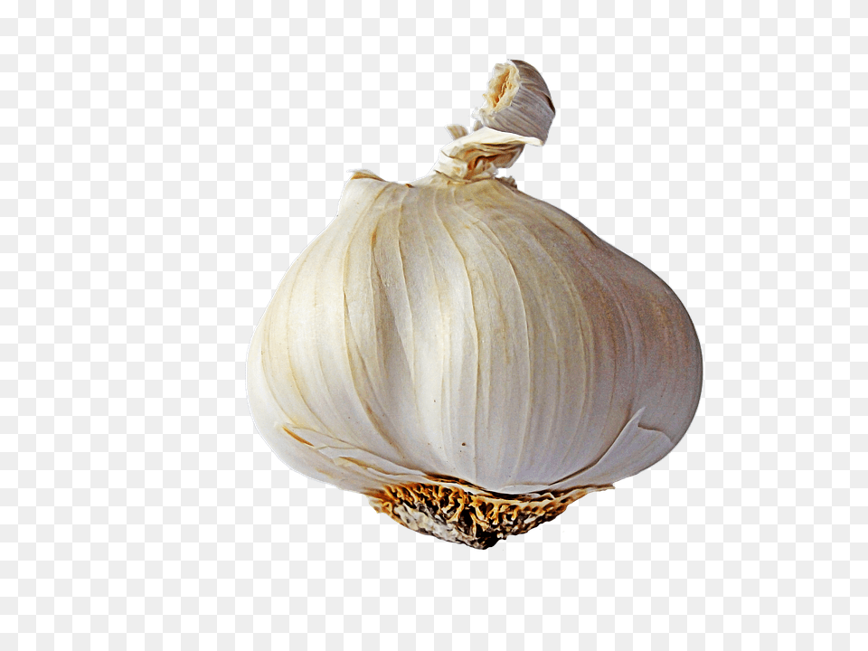 Garlic Food, Produce, Plant, Vegetable Free Transparent Png