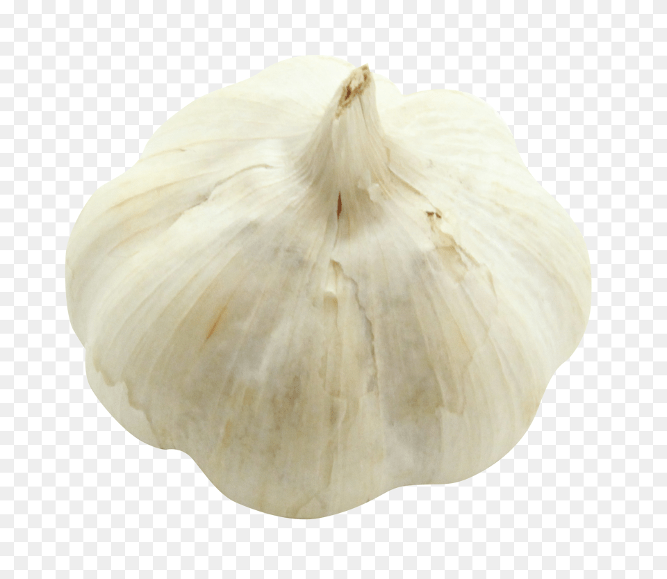 Garlic, Food, Produce, Vegetable, Plant Free Transparent Png