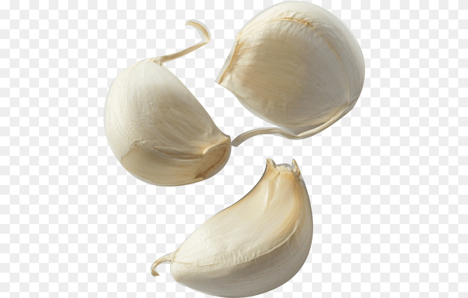 Garlic Bread Clove Condiment Onion Garlic Clove, Food, Produce, Plant, Vegetable Png