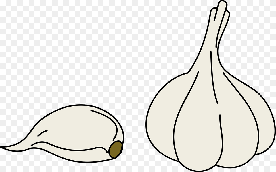 Garlic Bulb And Clove Clipart, Food, Produce Free Png