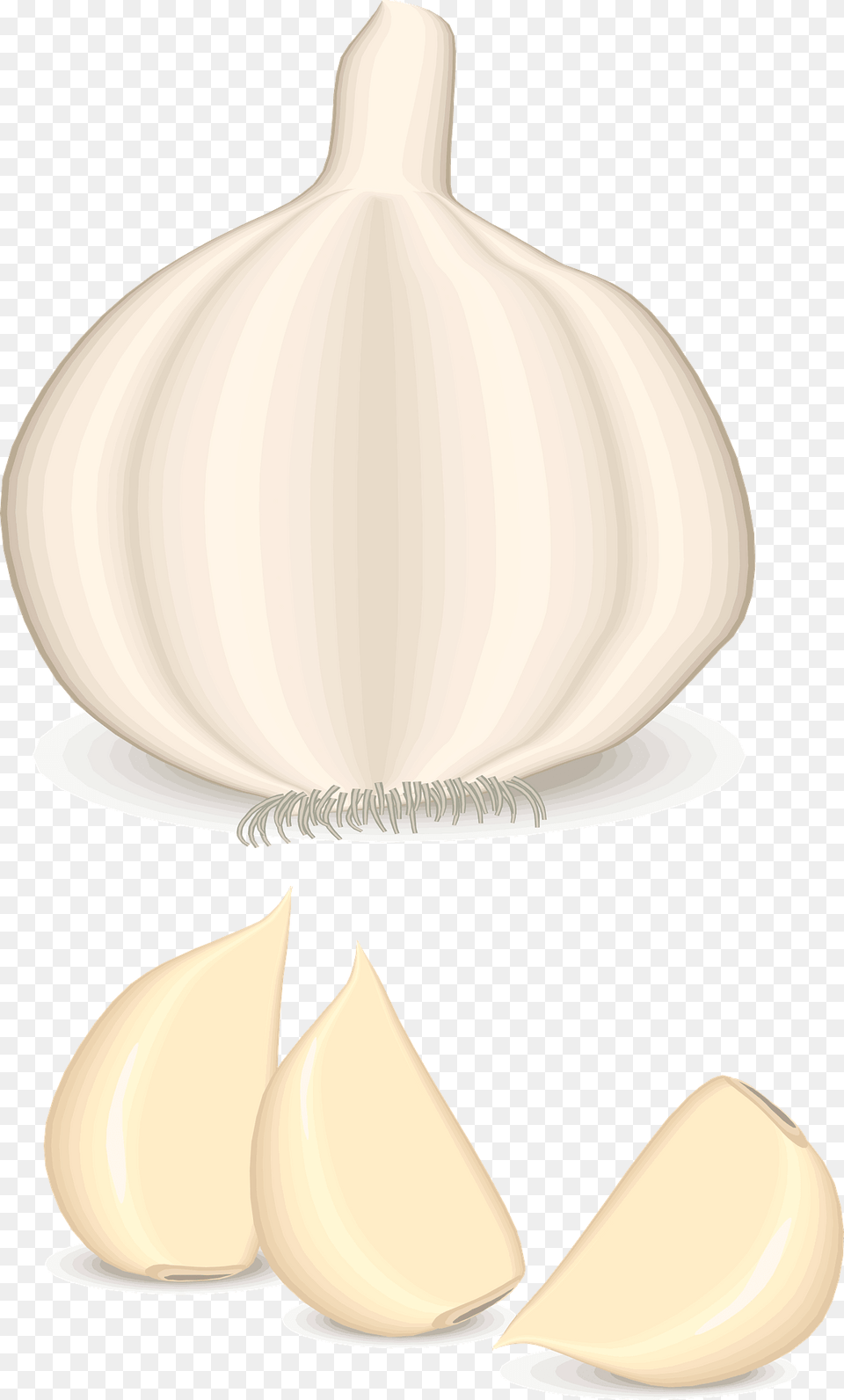 Garlic Bulb And Clove Clipart, Food, Produce, Plant, Vegetable Free Png