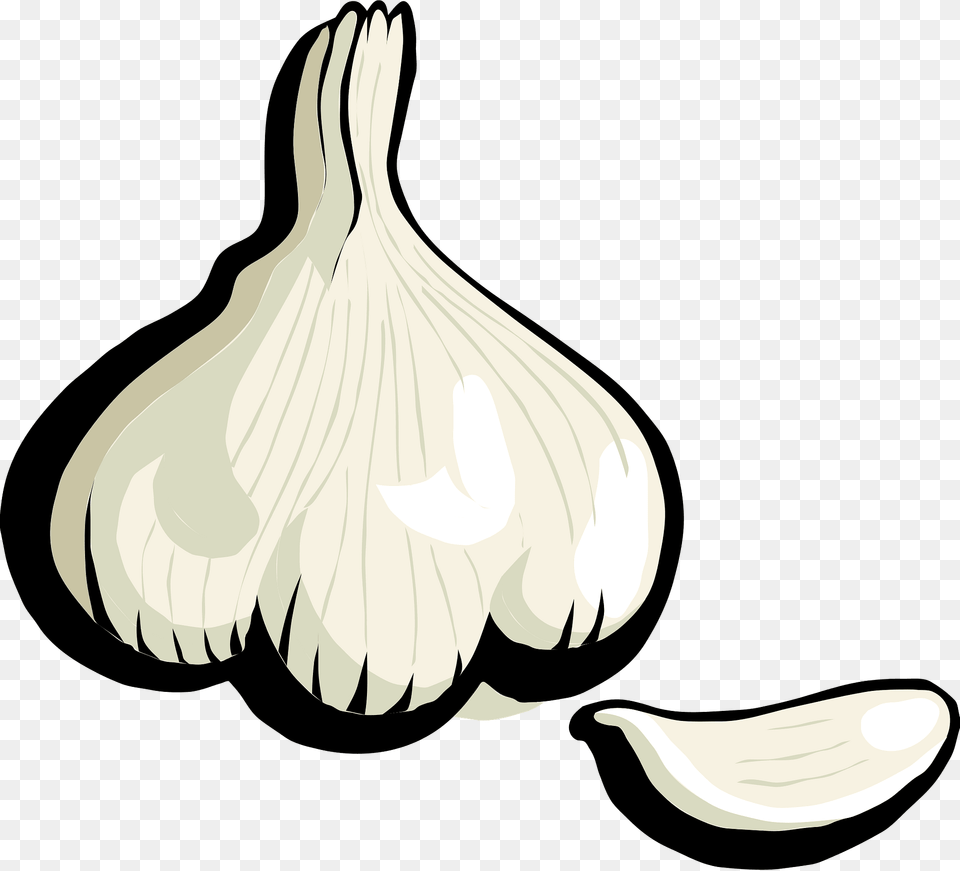 Garlic Bulb And Clove Clipart, Food, Produce, Plant, Vegetable Free Png