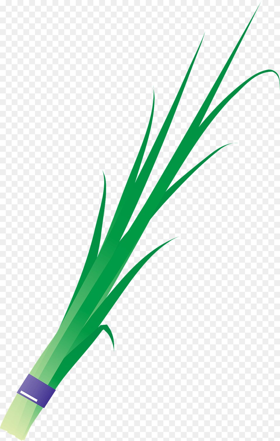 Garlic Chives Clipart, Food, Produce, Plant, Leek Png