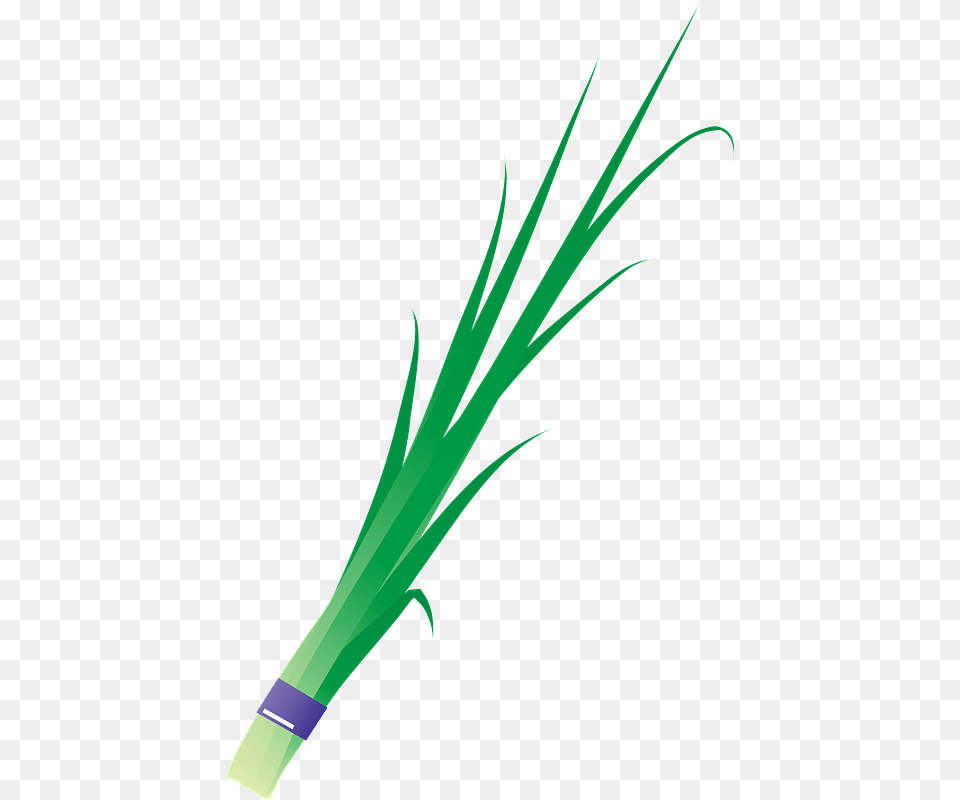 Garlic Chives Vegetable Clipart, Food, Produce, Plant Png Image