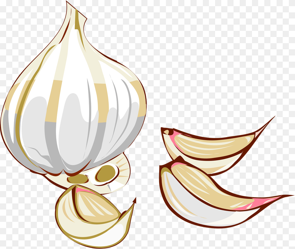Garlic Clipart, Food, Produce, Plant, Vegetable Free Png