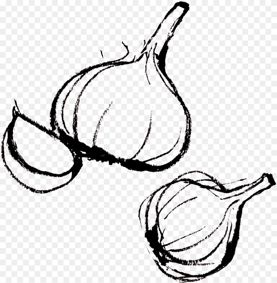 Garlic Clipart Draw Garlic Draw, Food, Produce, Person Png