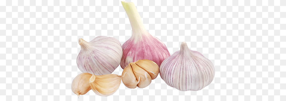 Garlic Clipart Green Garlic Transparent Background, Food, Produce, Plant, Vegetable Png Image