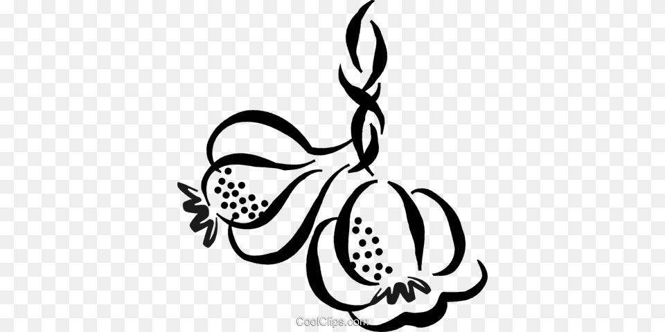 Garlic Cloves Royalty Free Vector Clip Art Illustration, Graphics, Floral Design, Pattern, Plant Png