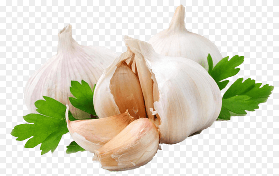 Garlic Coriander, Food, Produce, Plant, Vegetable Free Transparent Png