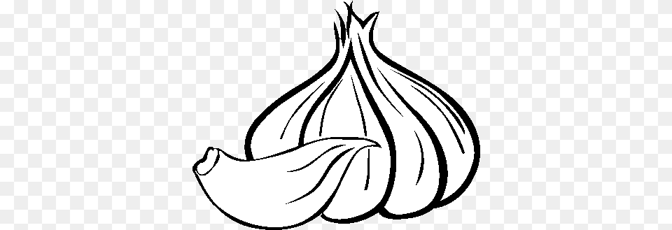 Garlic Drawing Ajo Dibujo, Food, Produce, Plant, Vegetable Free Transparent Png
