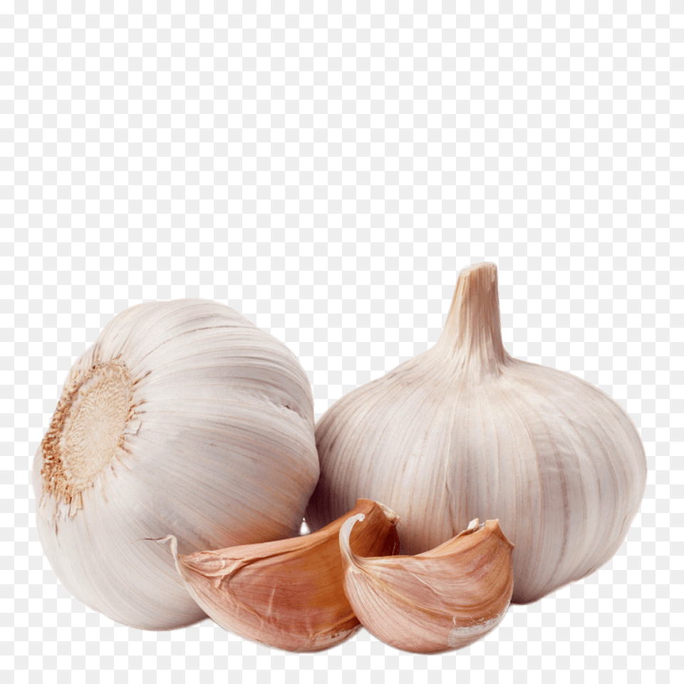 Garlic Duo, Food, Produce, Plant, Vegetable Free Transparent Png