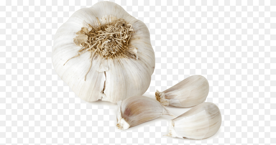 Garlic File Images Transparent Garlic, Food, Produce, Plant, Vegetable Free Png