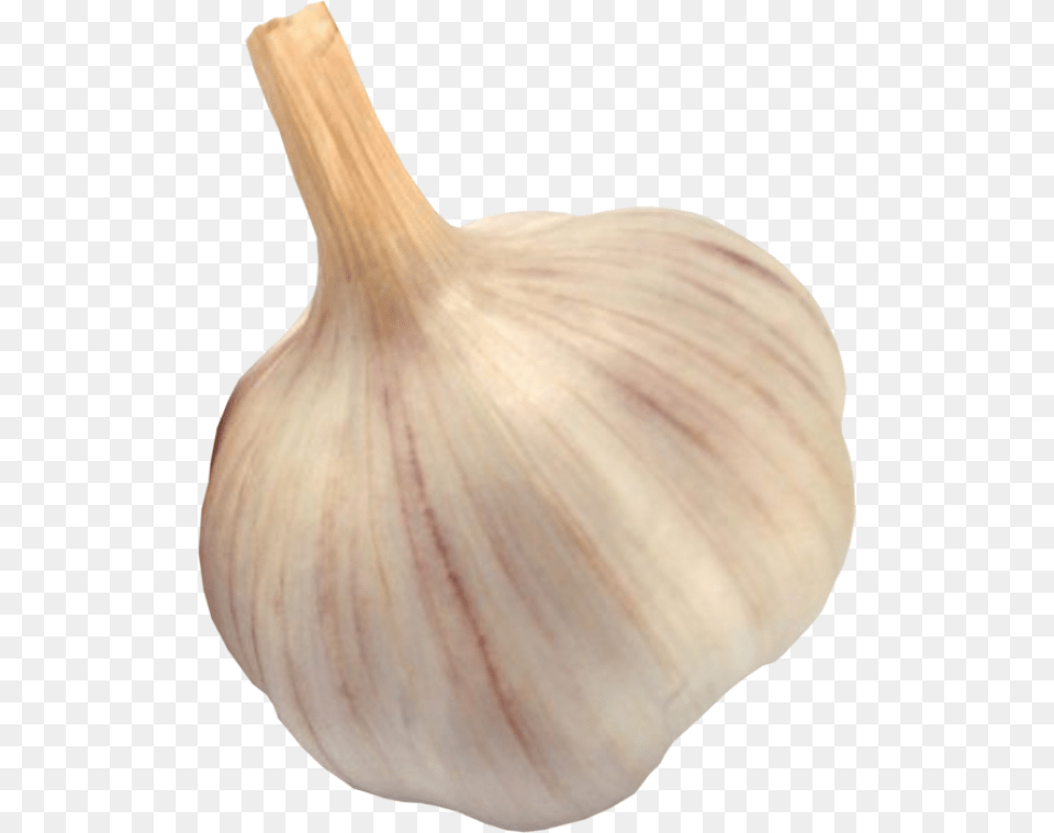 Garlic Free Download Garlic Downloaded, Food, Produce, Plant, Vegetable Png Image