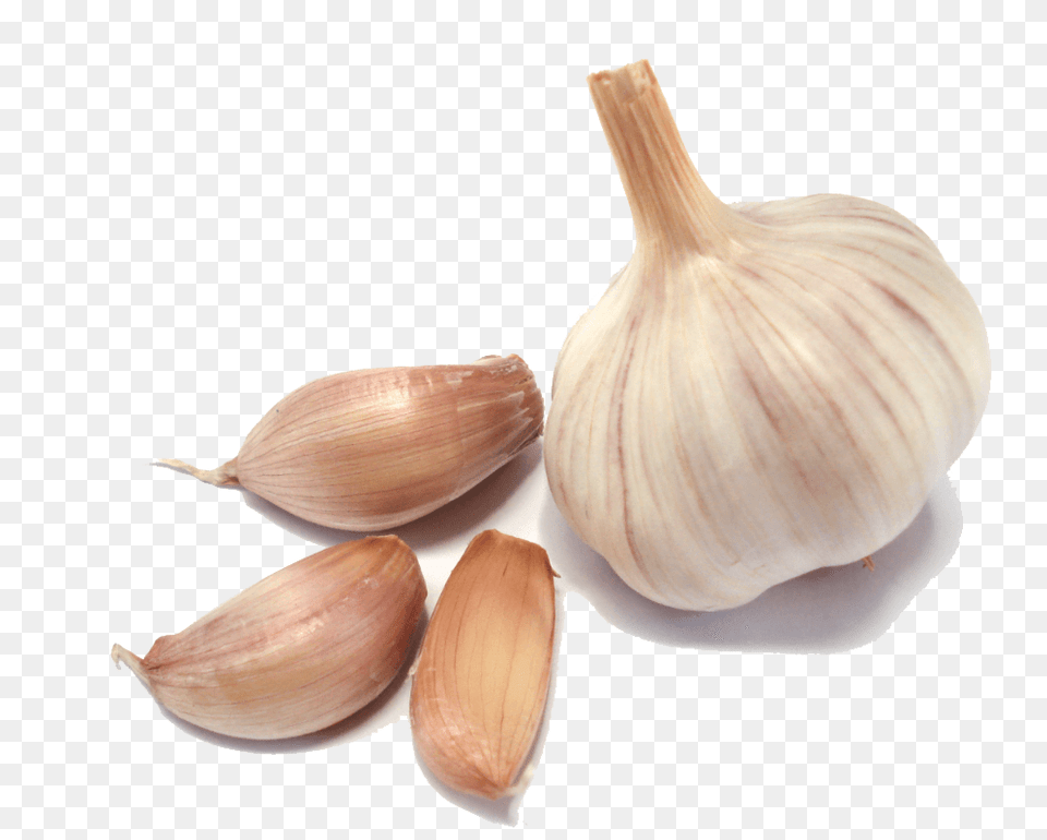 Garlic Group, Food, Produce, Plant, Vegetable Png Image