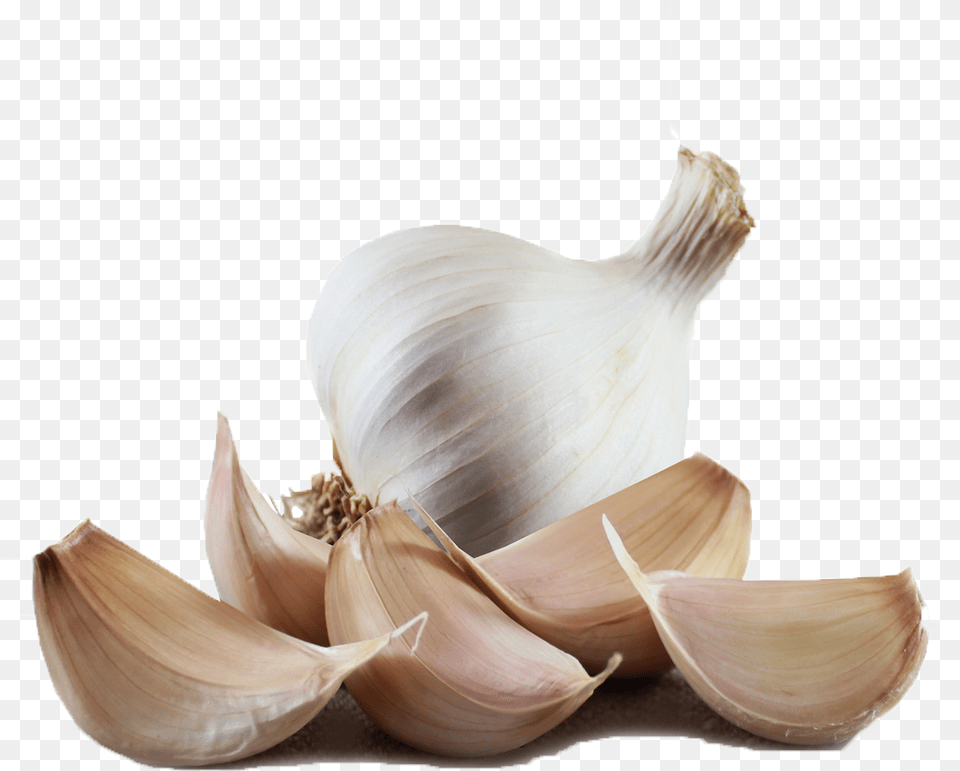 Garlic Hd Images Solent Wight Garlic Cloves, Food, Produce, Plant, Vegetable Free Transparent Png