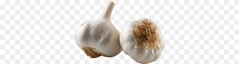Garlic Icon Garlic, Food, Produce, Plant, Vegetable Free Transparent Png