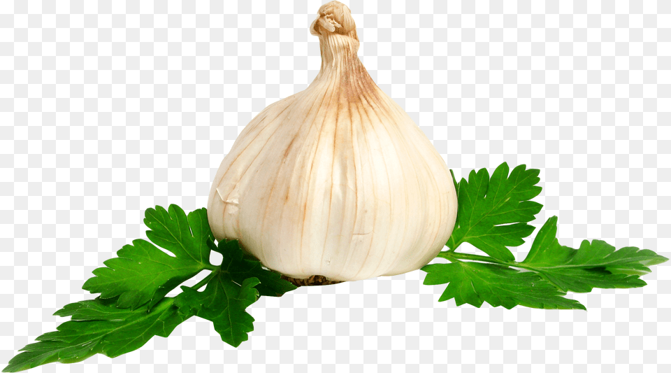 Garlic Plant, Food, Herbs, Produce Png Image